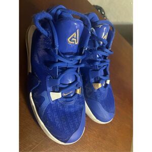 Nike Zoom Freak 1 high tops size 4.5Y